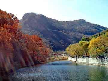 新澳天天开奖资料大全旅游团，上海推油